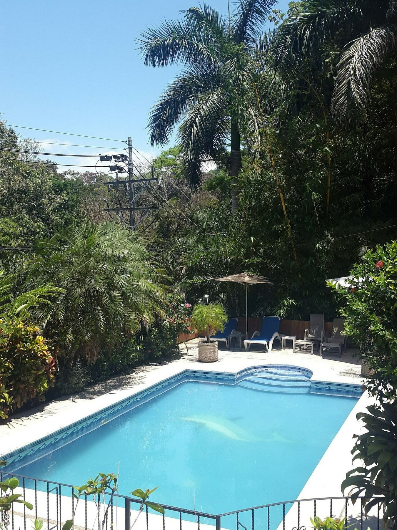 Hotel Colibri Manuel Antonio Exterior foto